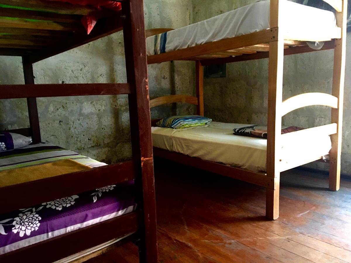 Lion Aqp Hostel Yanahuara Zewnętrze zdjęcie